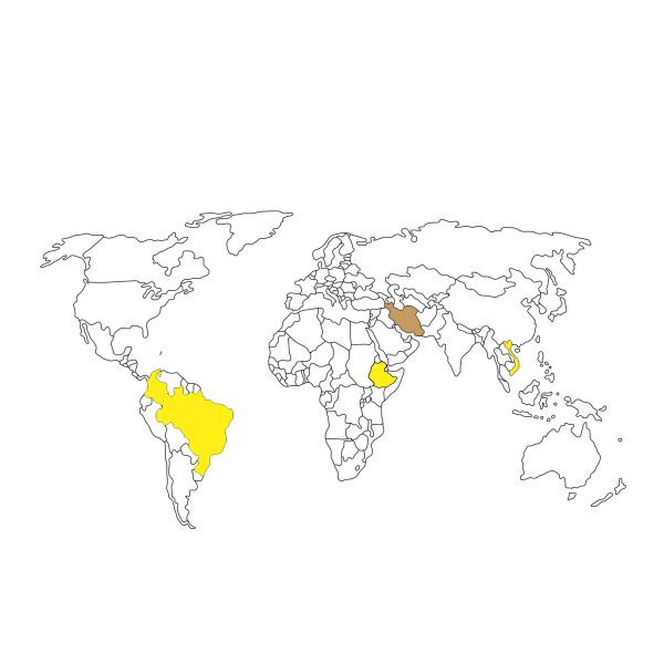 دانه قهوه ریمان