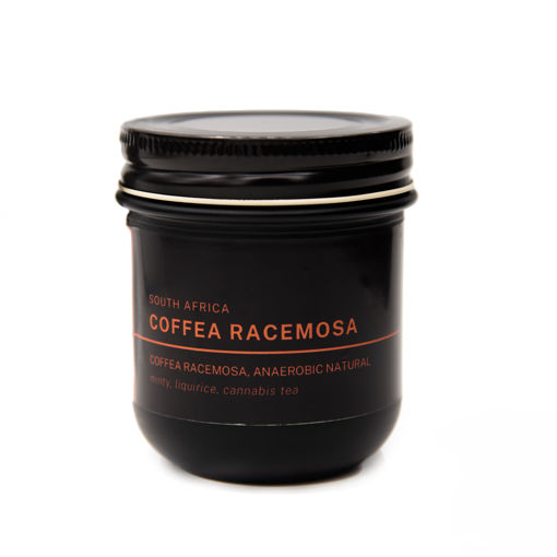 Racemosa coffee beans